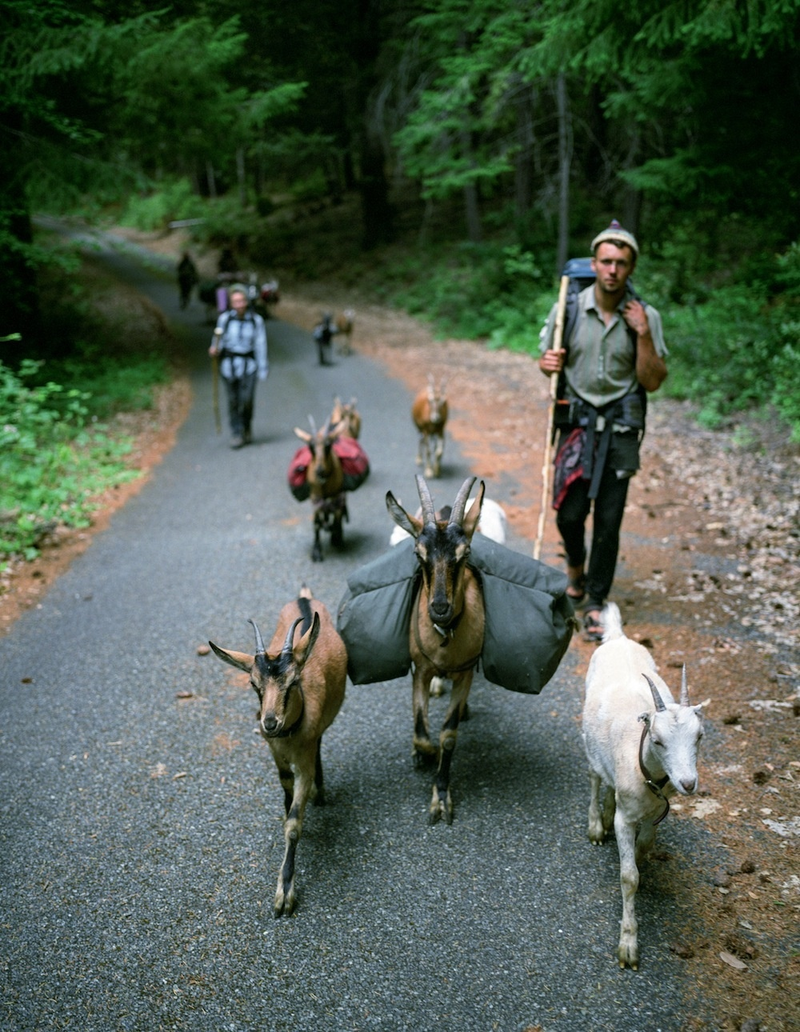 Illustration for article titled Follow This Modern American Nomad on His Long Journey Off the Grid